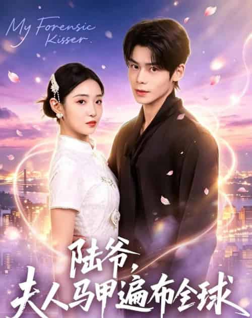陆爷，夫人马甲遍布全球（76集全）张智鹏＆妘妹-海之城短剧项目