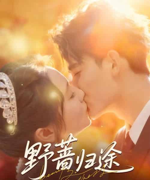 野蔷归途（80集全）李书滔＆尚芸琪-海之城短剧项目