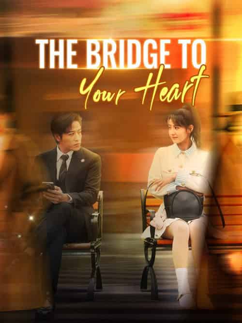 The Bridge to Your Heart（31集全）Chloe＆Ford＆＆Sean＆Lloyd - 海之城海外短剧