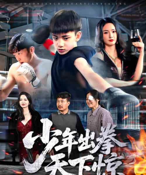 少年出拳天下惊（60集）胡冬晴-海之城短剧项目