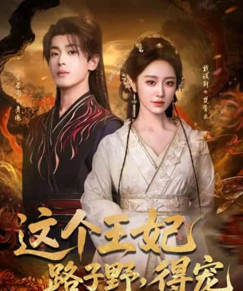 这个王妃路子野，得宠（77集全）李若洵＆戴琪轩-海之城短剧项目