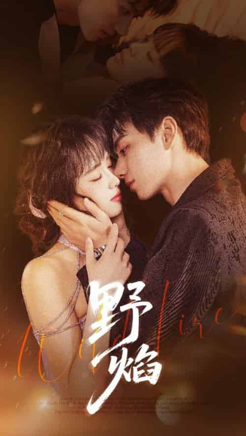 野焰 未删减版（60集全）陈政阳＆郑千亦 - 海之城短剧