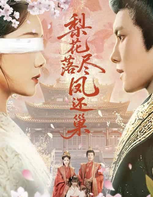 梨花落尽凤还巢（79集）-海之城短剧项目