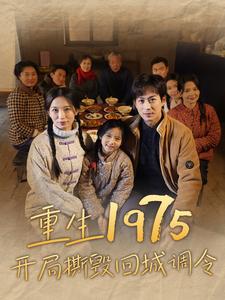 重生1975开局撕毁回城调令（83集） - 海之城短剧