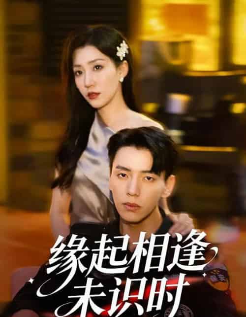 缘起相逢未识时（57集全）孙同钰＆尼玛坚赞-海之城短剧项目