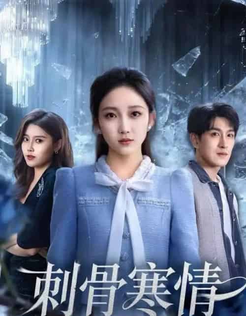 刺骨寒情（58集全）林可汉＆马菲-海之城短剧项目