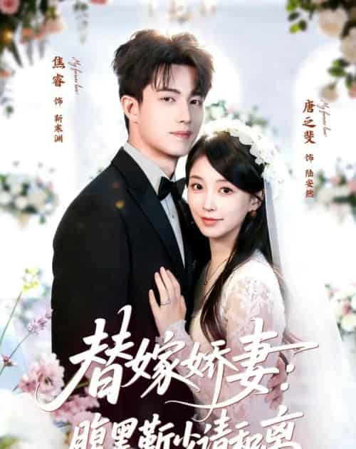 替嫁娇妻：腹黑靳少请和离（80集全）焦睿＆唐之斐-海之城短剧项目