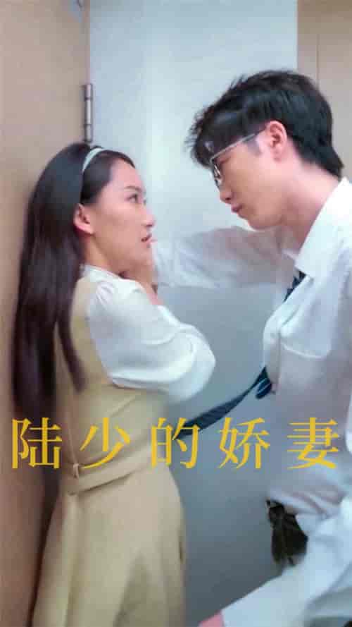 陆少的娇妻（100集全） - 海之城短剧