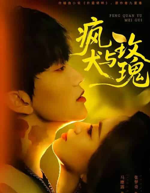 疯犬与玫瑰（80集全）马應露＆张梦奇-海之城短剧项目