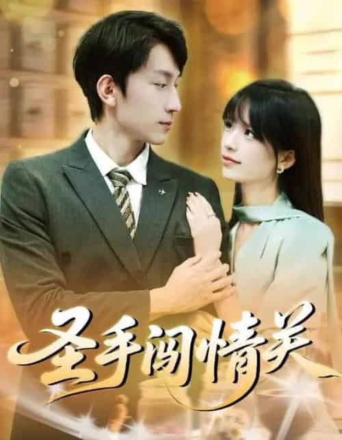 圣手闯情关（60集全）李泽平＆李依依 - 海之城短剧