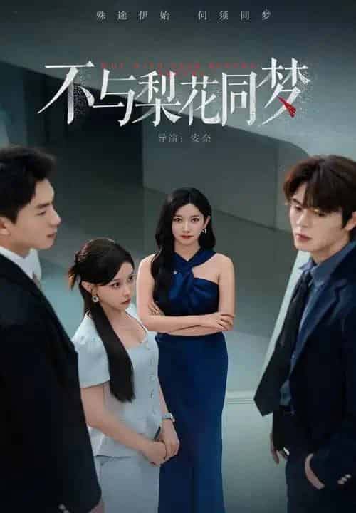 不与梨花同梦（50集全）张玉娇＆徐扬灏-海之城短剧项目