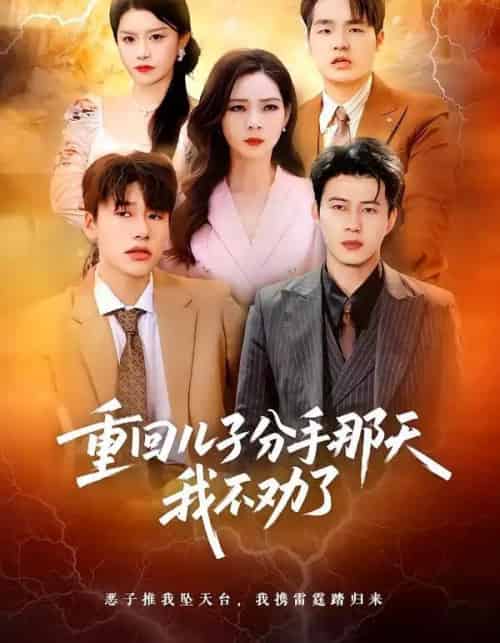 重回儿子分手那天，我不劝了（28集全）黄科＆吴愿-海之城短剧项目