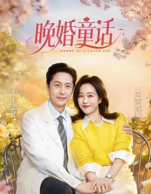 晚婚童话（81集全）王之民＆罗雪琼-海之城短剧项目