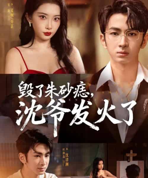 毁了朱砂痣，沈爷发火了（60集全）叶森林＆张璇-海之城短剧项目