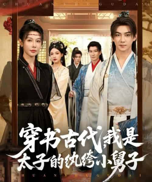 穿书古代，我是太子的纨绔小舅子（80集全）隋安蓉-海之城短剧项目