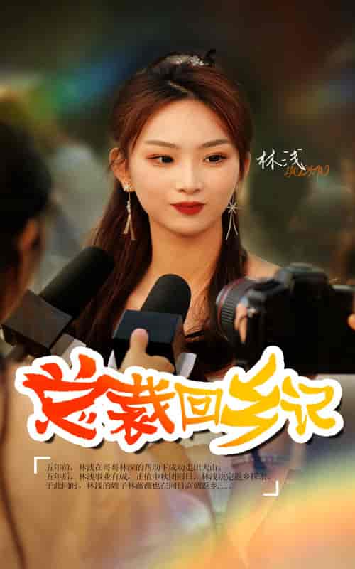 总裁回乡记（67集） - 海之城短剧