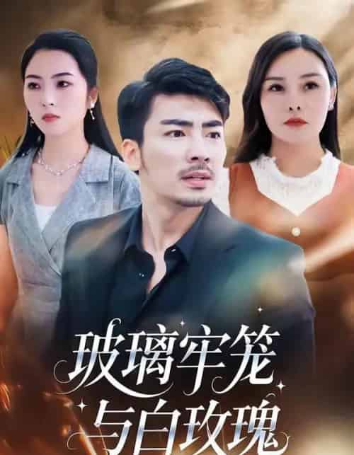 玻璃牢笼与白玫瑰（75集全）张瀚文（男）＆郑曦月-海之城短剧项目