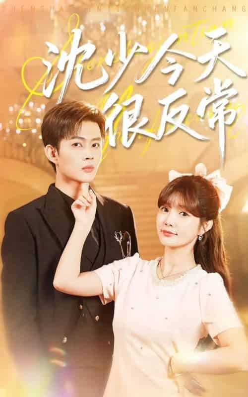 沈少今天很反常（100集全）邹济隆＆赵美璇 - 海之城短剧