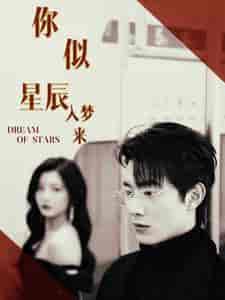 你似星辰入梦来（105集） - 海之城短剧