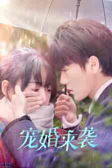 宠婚来袭（102集） - 海之城短剧