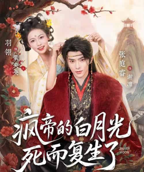 疯帝的白月光死而复生了（78集全）张庭睿＆羽翎-海之城短剧项目