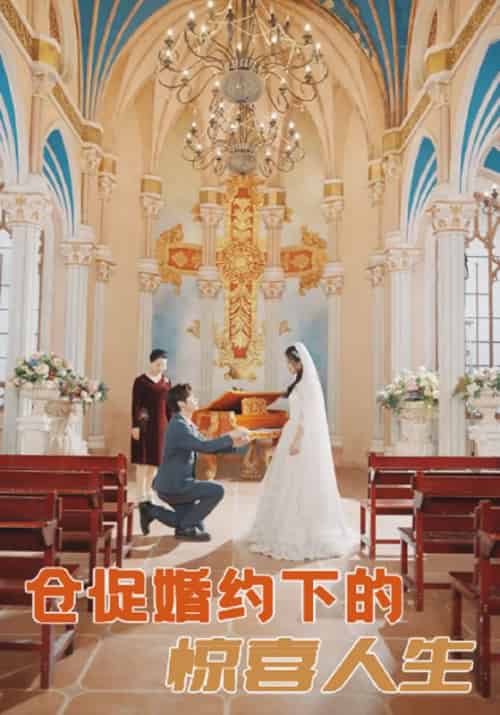 仓促婚约下的惊喜人生（99集全）顾明修＆舒欣 - 海之城短剧