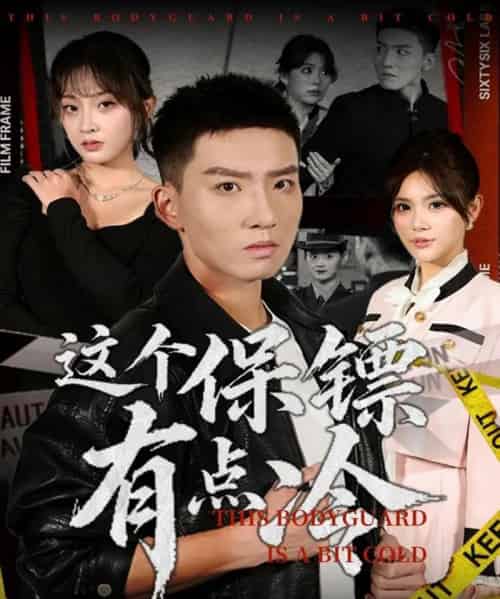这个保镖有点冷（80集全）霍文琦＆张伊晨-海之城短剧项目