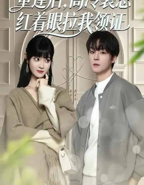 重逢后，高冷裴总红着眼拉我领证（77集全）申亚伟＆周舟-海之城短剧项目