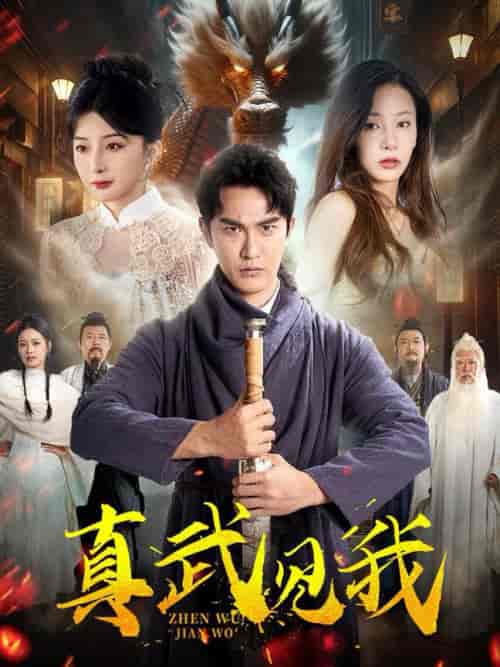 真武见我（60集全）陈天晓＆杨晨璐＆初五 - 海之城短剧