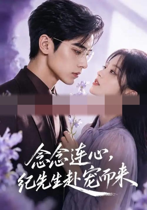 念念连心，纪先生赴宠而来（92集全）AI短剧-海之城短剧项目