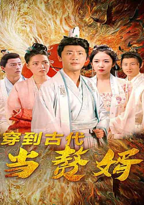 穿到古代当赘婿 穿到古代当赘婿