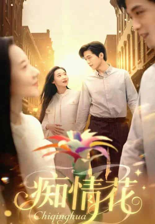 痴情花 痴情花