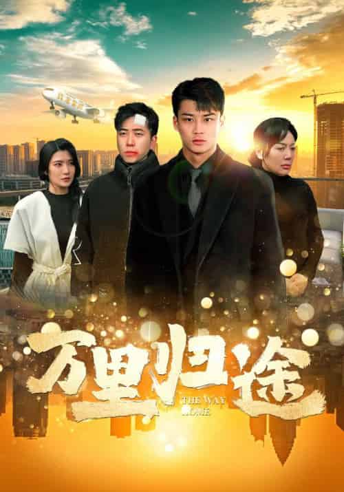 万里归途（70集） - 海之城短剧