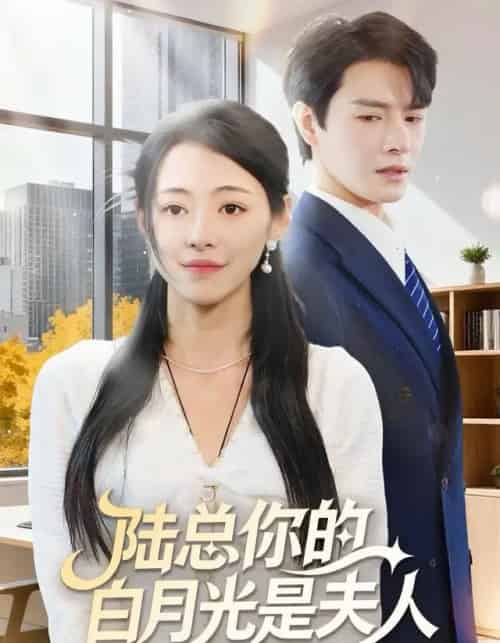 陆总你的白月光是夫人（51集全）李彬航＆王思莹-海之城短剧项目