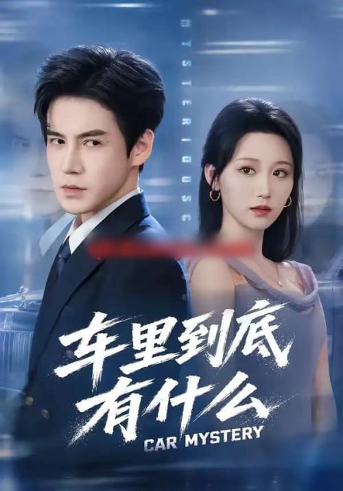 车里到底有什么 车里到底有什么