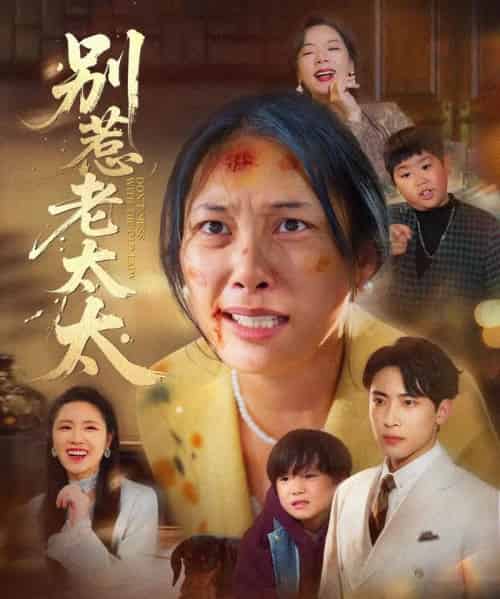 别惹老太太＆谁说她没人撑腰（68集全）陈柯宇＆赵丹-海之城短剧项目