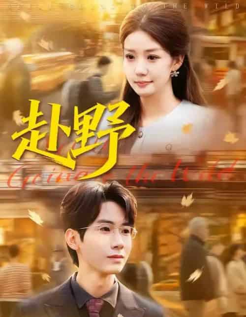 赴野（40集全）宜樊＆丁珂丹-海之城短剧项目