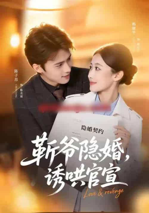 斩爷隐婚，诱哄官宣（80集全）陈子昂＆杨丽平-海之城短剧项目