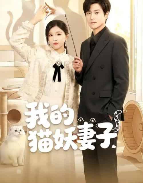 我的猫妖妻子（30集全）刘玉姣＆韩品杰-海之城短剧项目