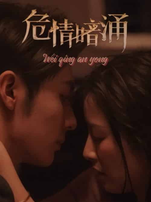 危情暗涌（81集全）王子林＆谭雯文 - 海之城短剧