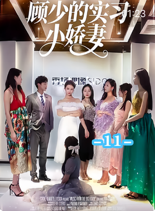顾少的实习小娇妻 顾少的实习小娇妻