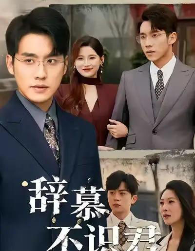 辞慕不识君＆七年情深终成侮（77集全）张宇翔＆宋雯娟-海之城短剧项目