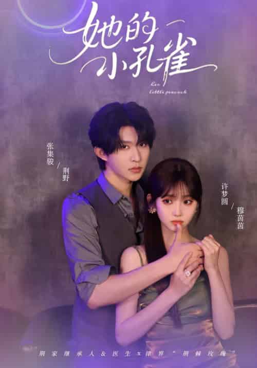 她的小孔雀（40集全）张集全骏＆许梦圆 - 海之城短剧