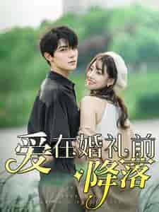 爱在婚礼前降落（50集）白昕怡 朱一未 - 海之城短剧