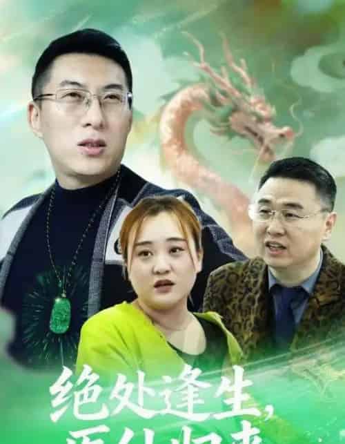 绝处逢生，医仙归来（20集全）曾光＆沙婷婷-海之城短剧项目