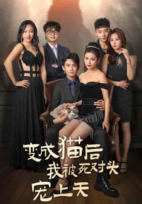 变成猫后被死对头宠上天（86集全）南宫廷逸＆宁萌 - 海之城短剧