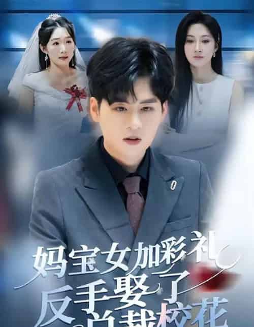 妈宝女加彩礼反手娶了总裁校花（81集全）韩非儿＆毛家和-海之城短剧项目