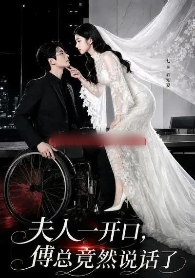 夫人一开口，傅总竟然说话了（60集全）AI短剧-海之城短剧项目