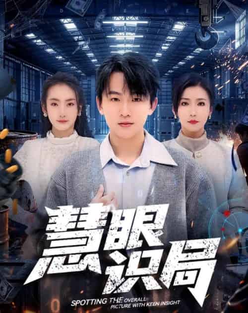 慧眼识局（72集全）阿木＆洪婷婷-海之城短剧项目