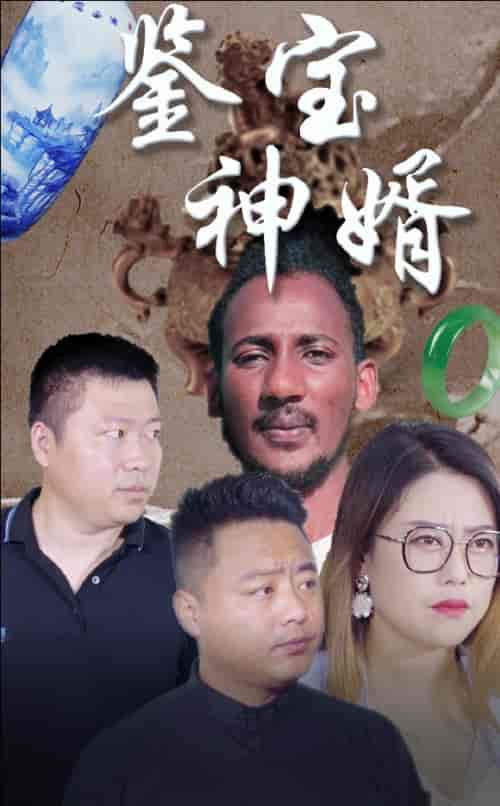 鉴宝神婿（87集） - 海之城短剧